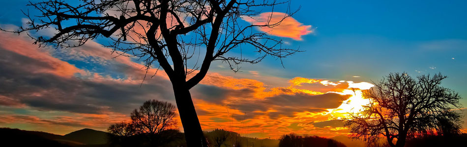 免费cc攻击测试