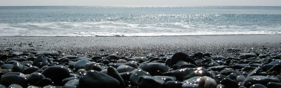 系统优化软件的服务器攻击软件