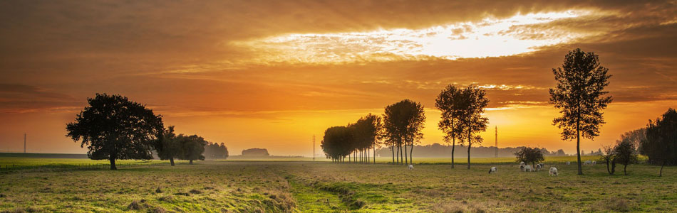 ddos在线攻击平台